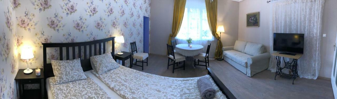 سولنوك Tulipan Villa Panzio المظهر الخارجي الصورة